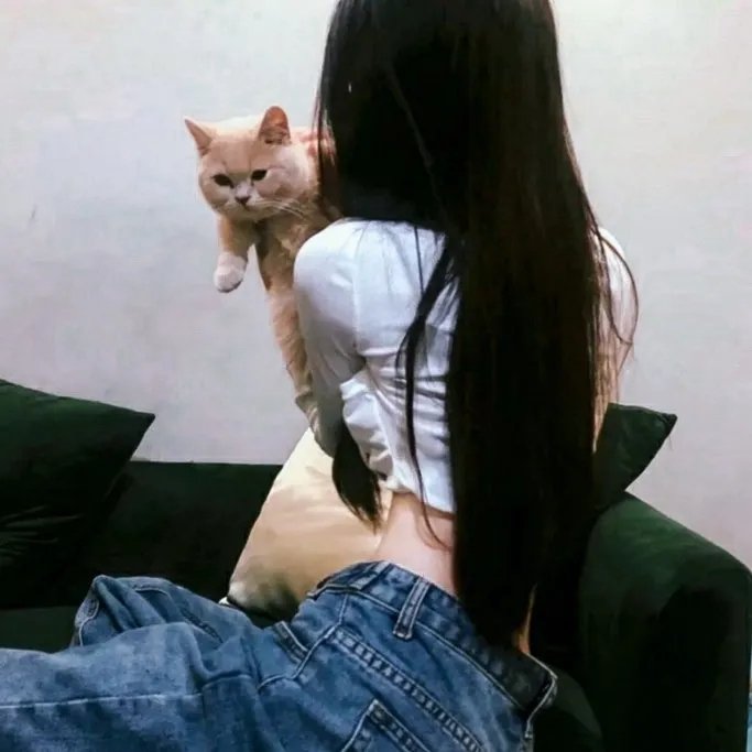 炸裂白宫