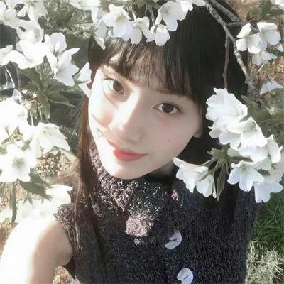 雏燕嬉春